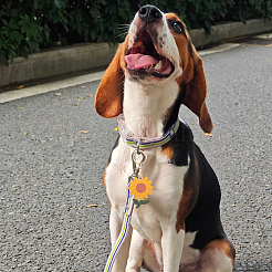 1шт брелок из искусственной кожи с подвесками KEYC-SP0001-47A