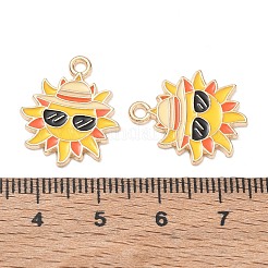 Pendentifs d'émail en alliage&nbsp;AL-CBAE435-11G
