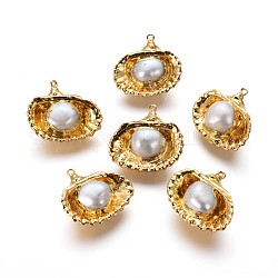 Natural Cultured Freshwater Pearl Pendants, with Brass Findings, Shell Shape, Golden, 22~23.5x23~26x10~12mm, Hole: 1.2mm