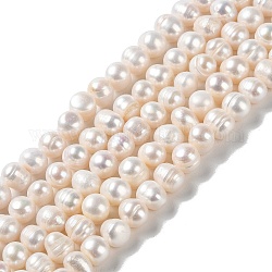 Fili di perle di perle d'acqua dolce coltivate naturali, patata, grado A +, papayawhip, 9~10x8~9mm, Foro: 0.6 mm, circa 47pcs/filo, 13.78~13.98'' (35~35.5 cm)