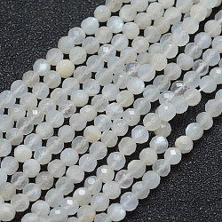 Натуральный белый лунный камень бисер пряди, граненые, круглые, белые, 4 мм, отверстие : 0.7 мм, около 91 шт / нитка, 15.35 дюйм (39 см)