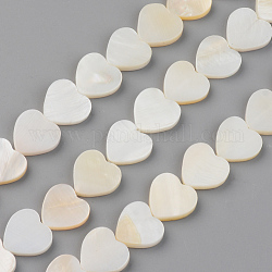 Eau douce naturelle de coquillage perles brins, cœur, couleur de coquillage, 12.5x13x3mm, Trou: 1mm, Environ 30 pcs/chapelet, 13.78 pouce (35 cm)