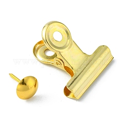 Eisenklammern und Rundkopf-Reißnägel, golden, 31 mm