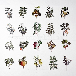 Set di adesivi per timbratura autoadesivi impermeabili a tema vegetale, adesivo decorativo per album fotografico fai da te, modello di frutta, 65~99x53~65mm, 40pcs/scatola