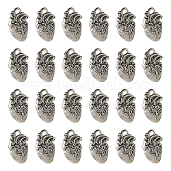 SUNNYCLUE 1 Box 50Pcs Gothic Heart Charms Bulk Silver Hearts Charms Tibetan Style Alloy Pendants Metal 3D Anatomical Organ Halloween Charm for Jewelry Making Charms DIY Necklace Earrings Women Adults