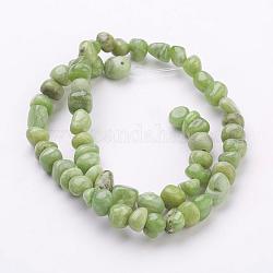 Chapelets de perles en péridot naturel, olive, taille:  Largeur environ 6~7mm, Longueur 5~8mm, épaisseur de 5~6mm, Trou: 1mm, Environ 67 pcs/chapelet, 16 pouce