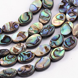 Fili di perline conchiglia naturale / conchiglia paua, ovale, colorato, 12x8x3mm, Foro: 0.5 mm
