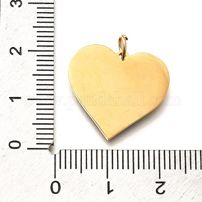 Эмалевые подвески из нержавеющей стали Pride 304 STAS-B079-01G-03-1