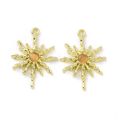 Подвески для кошачьего глаза из сплава PALLOY-D007-08G-D-1