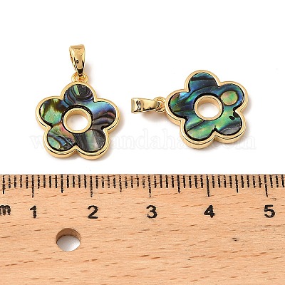 Подвески из натуральных ракушек пауа KK-G538-23G-1