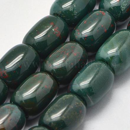 Natural Bloodstone Beads Strands G-K208-40A-1
