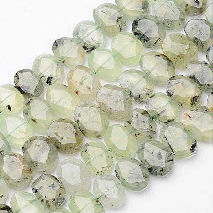 Chapelets de perles en préhnite naturelle G-D826-10-1