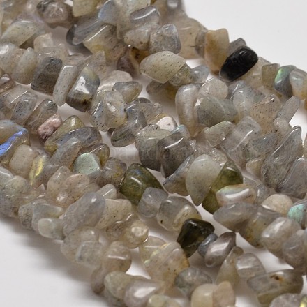 Natural Labradorite Chip Beads Strands G-L269-28-1