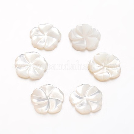 Flor en flor de ciruelo cabuchones de concha blanca SSHEL-I013-31-1