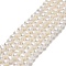 Natural Cultured Freshwater Pearl Beads Strands, Potato, Beige, 4~6x5~7x5~6mm, Hole: 0.7mm, about 67~71pcs/strand, 13.58~14.25 inch(34.5~36.2cm)
