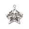 Tibetan style Alloy Pendants, Star with Spider Charm, Platinum, 45x39.5x6mm, Hole: 3mm