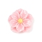 Opaque Resin Cabochons, Camellia, Pink, 17x17x5mm