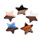 Resin & Walnut Wood Pendants, Star, Mixed Color, 20.5x22~22.5x3.5mm, Hole: 1.5mm