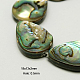 Chapelets de perles en coquille d'ormeau/de Paua SSHEL-G003-1-13x18x3mm-1
