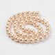 Shell Pearl Beads Strands BSHE-K011-10mm-VA066-2