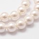Chapelets de perles en coquille BSHE-L026-03-8mm-5