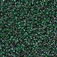 MIYUKI Round Rocailles Beads SEED-JP0008-RR4507-2