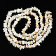 Natural Freshwater Shell Beads Strands SHEL-S278-070G-2