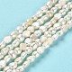 Natural Cultured Freshwater Pearl Beads Strands PEAR-E016-111-2