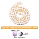 Fili di perle di vetro bicolore opachi verniciati a cottura DGLA-YW0001-18A-2