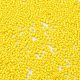 Baking Paint Glass Seed Beads SEED-S042-05B-81-3
