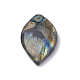 天然石ラブラドライトペンダント  混合形状  21~43.5x14~24.5x5~11mm  穴：1mm G-S299-21-2