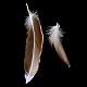 Chicken Feather Costume Accessories X-FIND-Q046-04-2