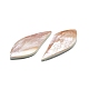Cabochons de coquille naturelle SHEL-K008-04-3