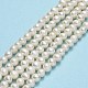Natural Cultured Freshwater Pearl Beads Strands PEAR-F018-17A-01-2