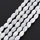 Natural Freshwater Shell Beads Strands SHEL-N027-08A-2