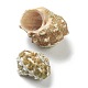 Perles en coquillage naturel BSHE-H015-03-2