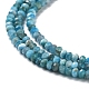 Natural Apatite Beads Strands G-J400-C01-01-4