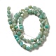 Natural Amazonite Beads Strands G-D081-A06-2
