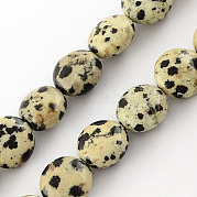Естественно Dalmation Яшмовое пряди G-R189-14