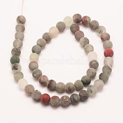 Naturali africane perline Bloodstone fili&nbsp;G-P295-05-10mm