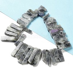 Природные лабрадорита бисер нитей G-L551B-06