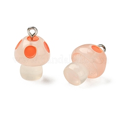 10шт 5 цвета подвески из светящейся смолы&nbsp;RESI-YW0001-37