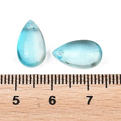 Transparente Glas Anhänger / charms&nbsp;GLAA-O017-01I