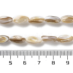 Нити бусин из натуральных пресноводных ракушек SSHEL-B002-13