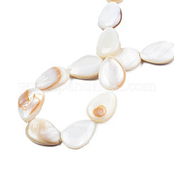 Нити бусин из натуральной белой ракушки X-PBB263Y-1