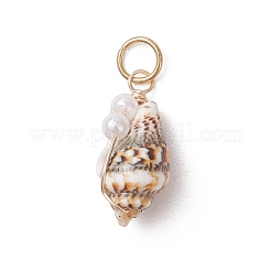 Естественно спиральные подвески оболочки&nbsp;PALLOY-JF05044