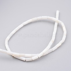 Природные оболочки нитей бисера BSHE-P016-05