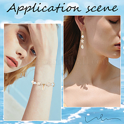 100 шт. подвески из натуральной окрашенной ракушки каури SHEL-BBC0001-11