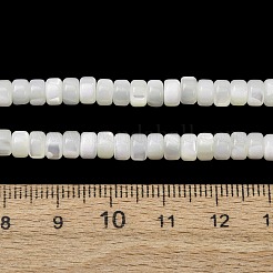 Natürliche Trochidschale / Trochusschalenperlenstränge&nbsp;SH-CBA2978-18B