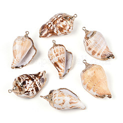 Pendentifs en spirale naturelle galvanoplastie&nbsp;SSHEL-R144-07
